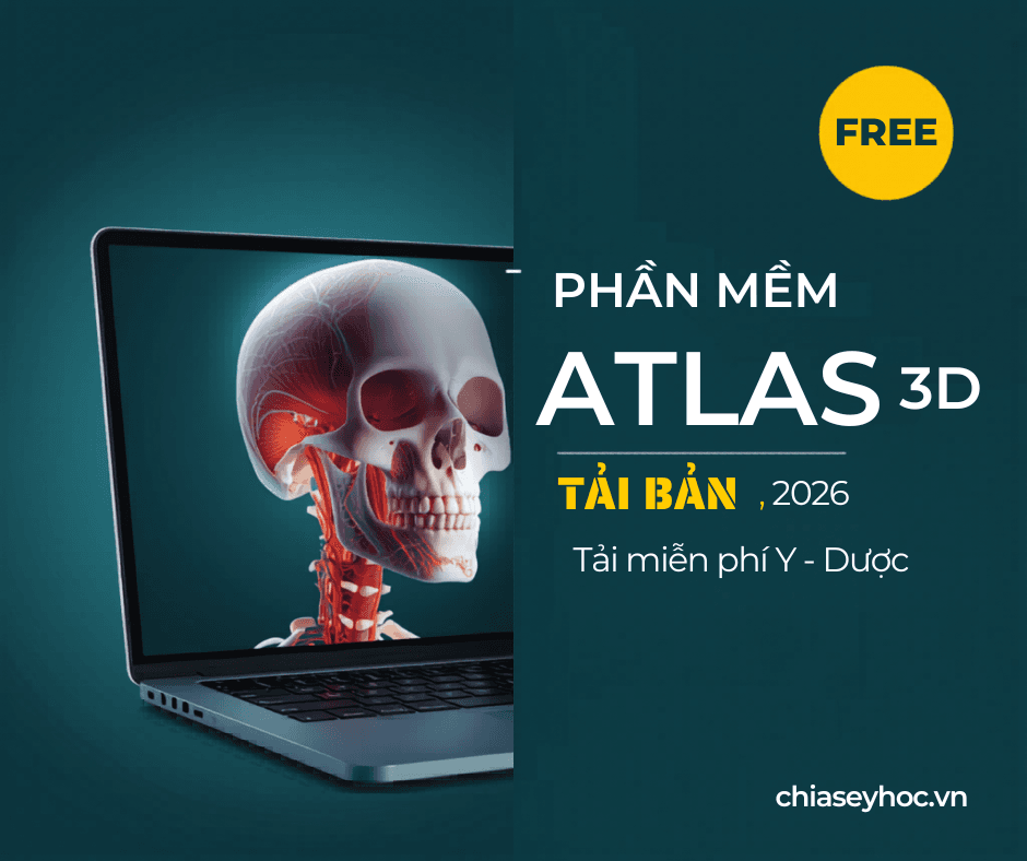 Phần mềm giải phẫu 3d