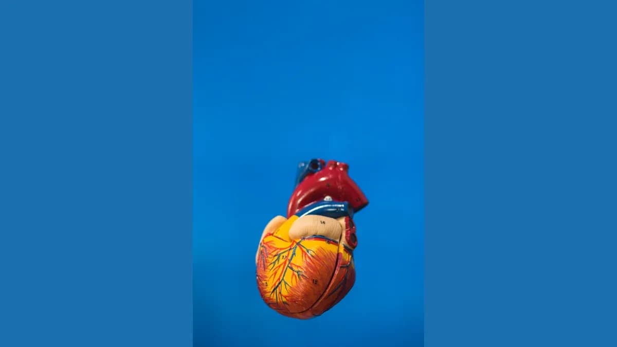 Clinical Guidelines: Diagnosis and Treatment of Heart Failure 2025 (PDF)