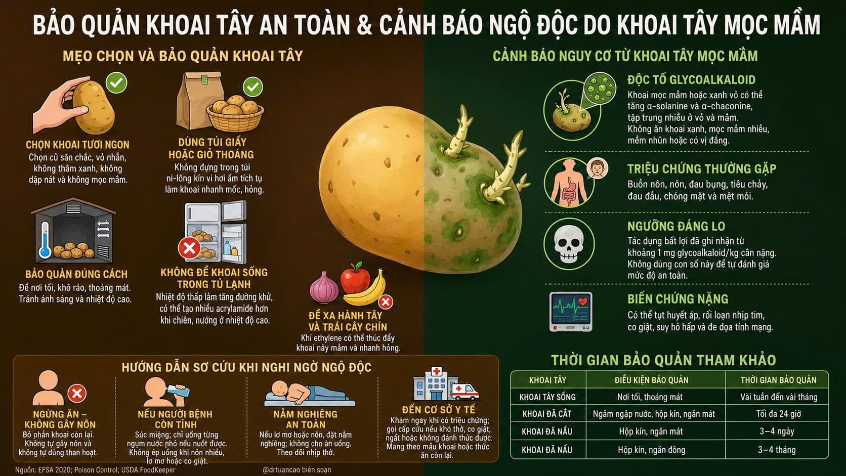 ngộ độc khoai tây mọc mầm