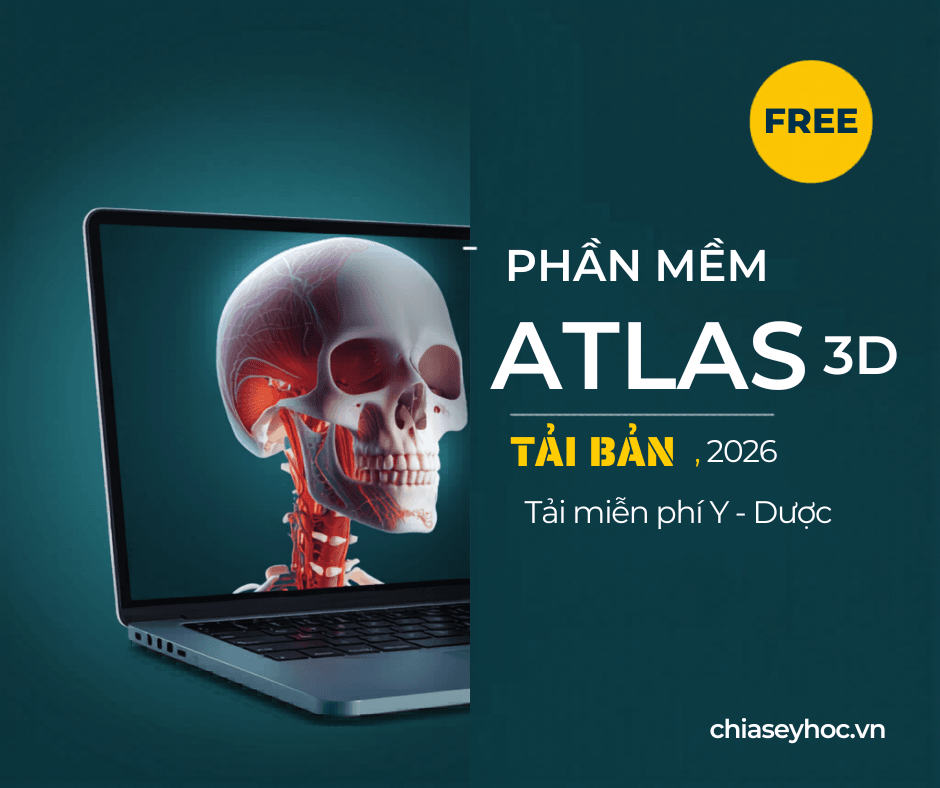 Phần mềm giải phẫu 3d