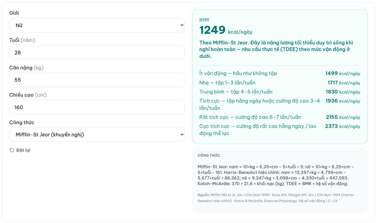 Công cụ tính BMR trên Yhoc.io: nữ 28 tuổi, 55 kg, 160 cm theo Mifflin-St Jeor cho BMR 1249 kcal mỗi ngày kèm bảng TDEE theo sáu mức vận động