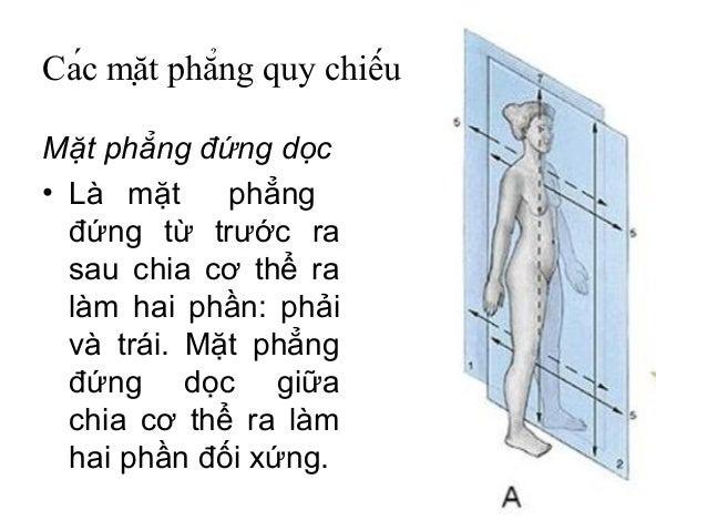 Mặt phẳng đứng dọc