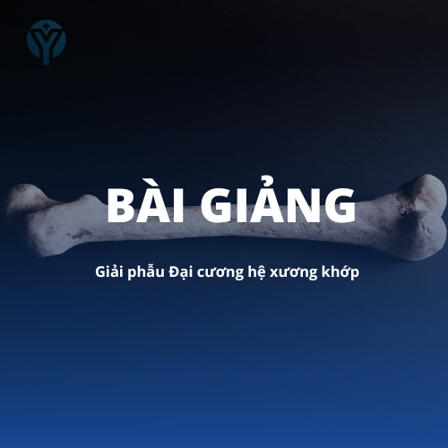 Giải phẫu 1: Đại cương hệ xương khớp