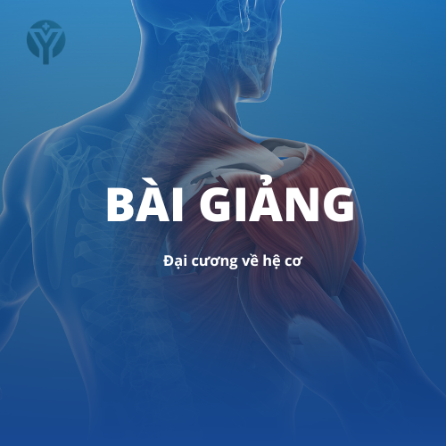 Giải phẫu 1: Đại cương về hệ cơ