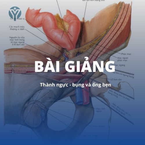 Giải phẫu 1: Thành ngực - bụng và ống bẹn